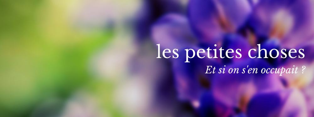 Les petites choses